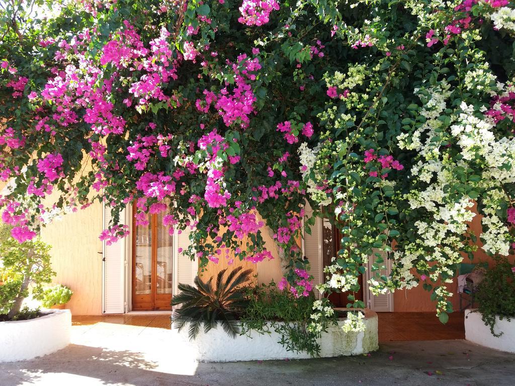 Constantinos Apartments Lassi  Exterior photo