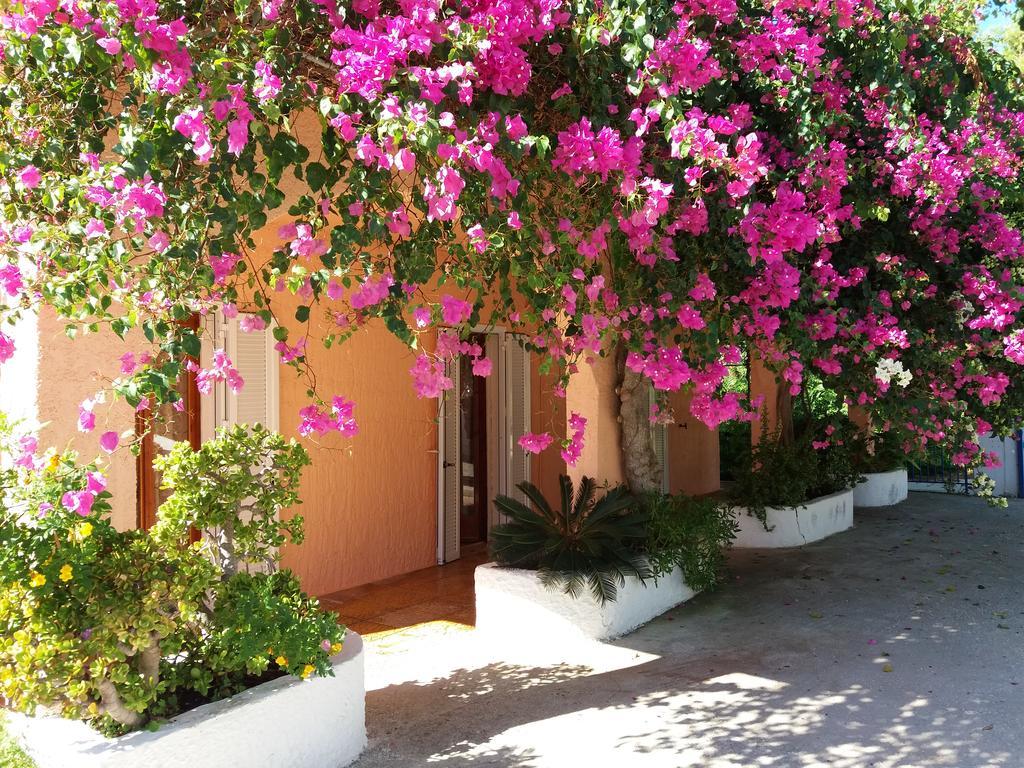 Constantinos Apartments Lassi  Exterior photo