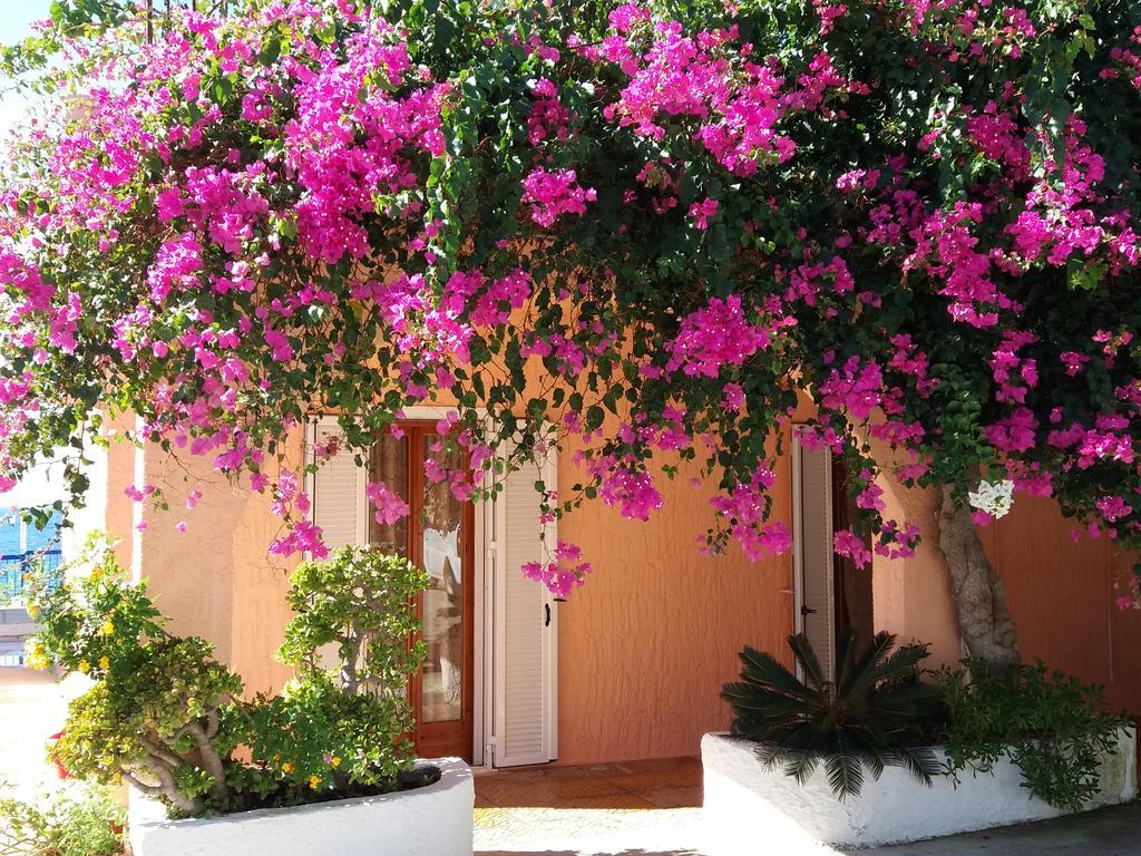 Constantinos Apartments Lassi  Exterior photo